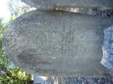 image number Salter AB 06458